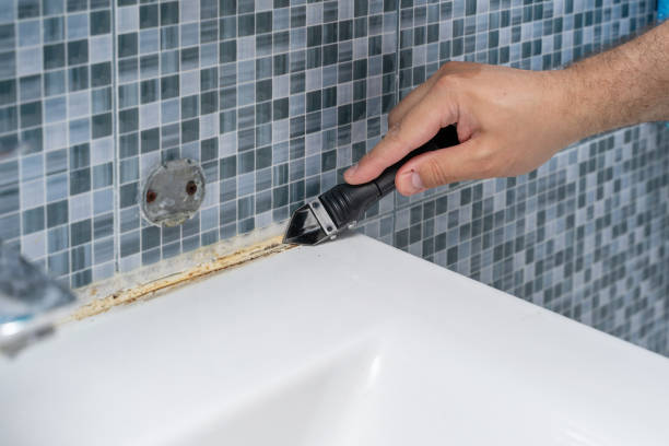 Best Mold Damage Repair  in Natchitoches, LA